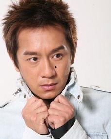 陈浩民资料,从影视明星到慈善使者的人生蜕变