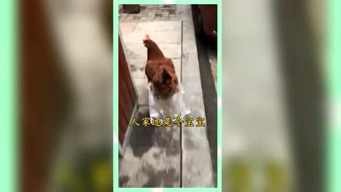 娱乐吃瓜群众酱